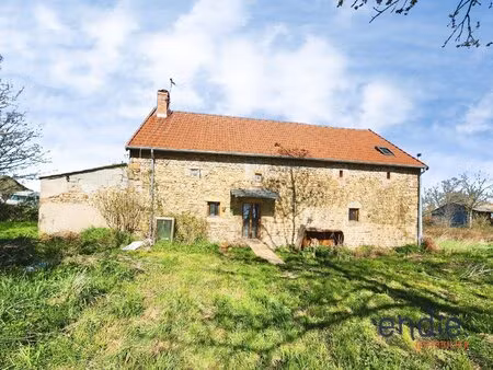 maison en pierres - 130 m² - 6773 m² terrain