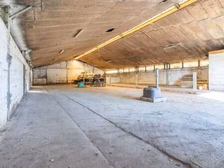 projet immobilier et équestre rare à libramont