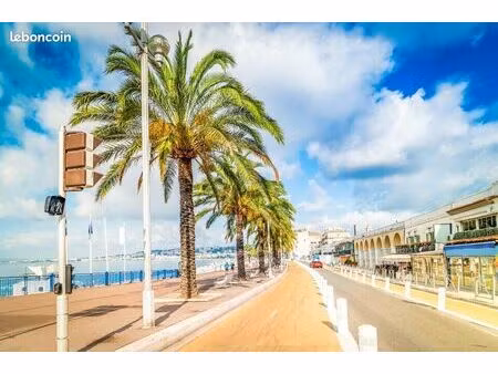 local commercial 180 m² nice