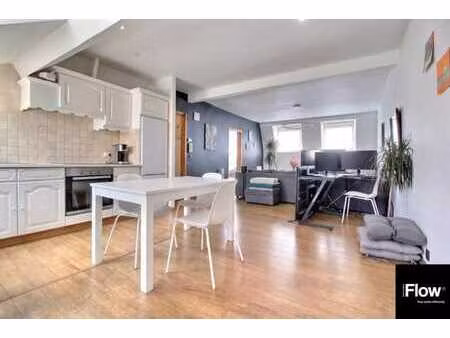 appartement lumineux et spacieux avec terrasse plein sud