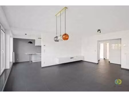 appartement moderne avec belles terrasses