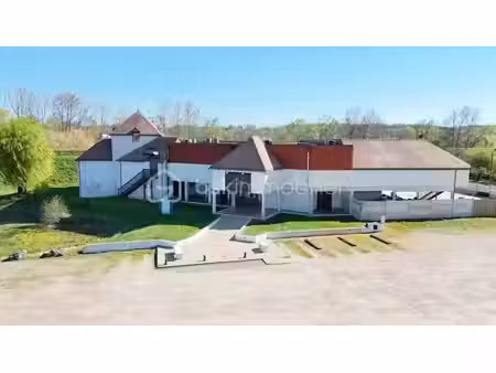 vente maison 12 pièces 1400 m² à cangey (37530)  745 000 €
