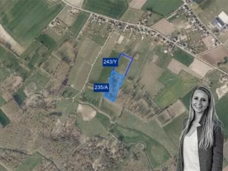 terrain à vendre à hasselt € 7.500.000 (losyp) - immow real estate | zimmo