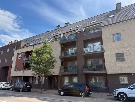 appartement à louer à maaseik € 880 (losl0) - suzanne louw vastgoed | zimmo