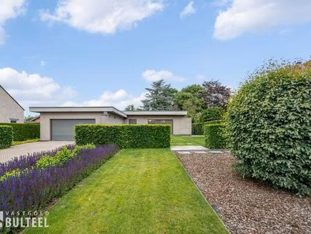 maison à vendre à belsele € 689.000 (loswy) - vastgoed bulteel | zimmo