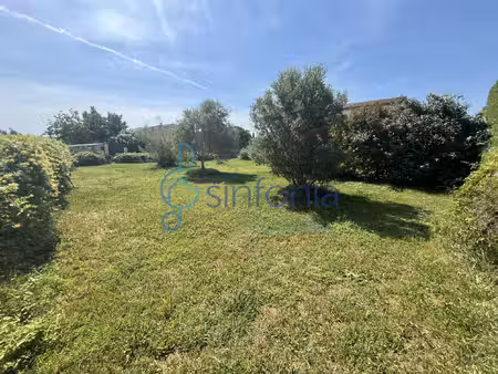 vente terrain constructible  viabilisé  plat et arboré de 50