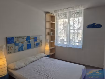 appartement t2/au pied de la telecabine/casier a ski