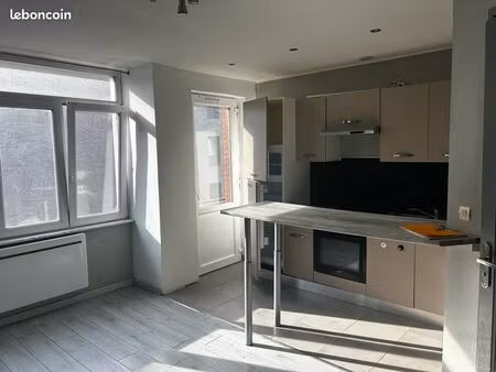 ◊ superbe f2 rénové – 28 rue augustin drapiez à lille (proche métros)