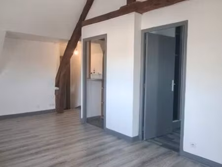 appartement cours-cheverny centre