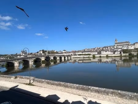 appartement à vendre blois vienne vue imprenable sur la loire