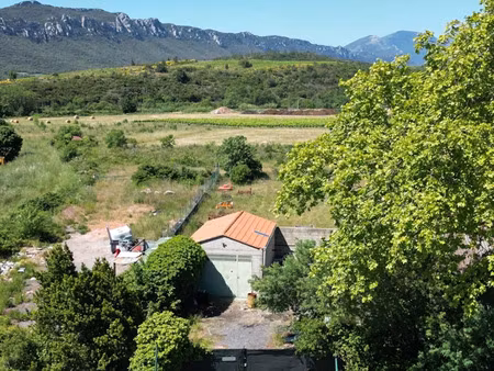 vente commerce 5000 m² saint-paul-de-fenouillet (66220)