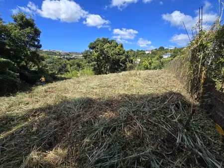 en vente terrain constructible 3 5 ares – 70 500 € |rivière-salée