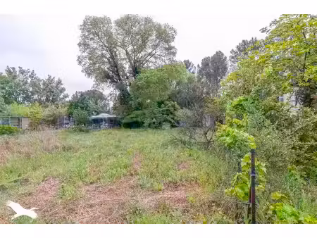 terrain à bâtir de 0 pièces principales
