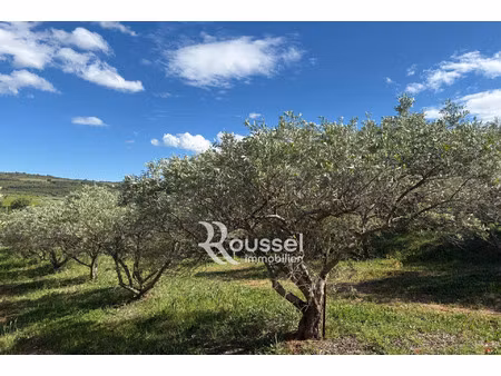 vente terrain 5407 m² villeveyrac (34560)