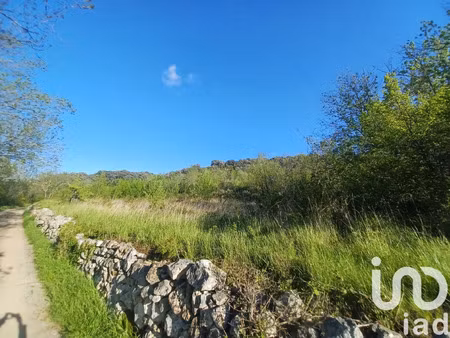 vente terrain 11710 m² bédarieux (34600)