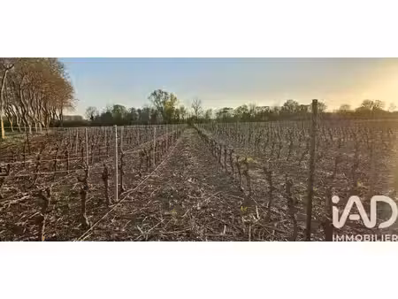 vente terrain agricole 238 795 m²
