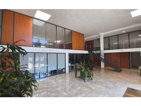 vente local industriel 16 pièces 701 m² montpellier (34080)