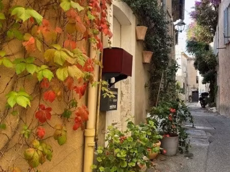 maison de luxe à vendre dans le quartier moulieres