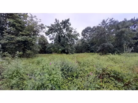 terrain 1000 m2 constructible libre choix constructeur janvry