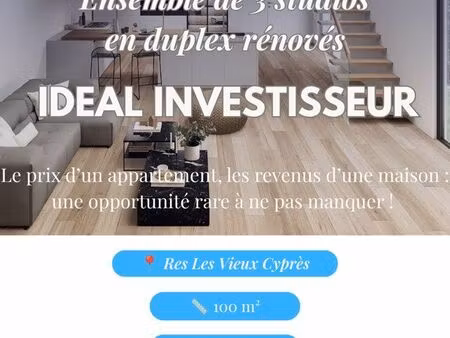 lot de 3 studios en duplex - 100m2