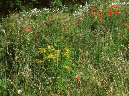 terrain loisir agricole