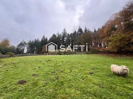 terrain 1 2 hectare ave etang