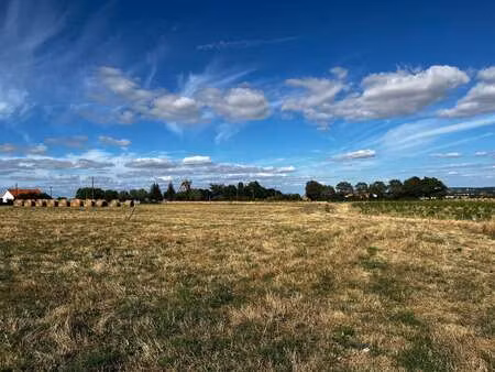 vente terrain à la chapelle-saint-florent (49410) : à vendre / la chapelle-saint-florent