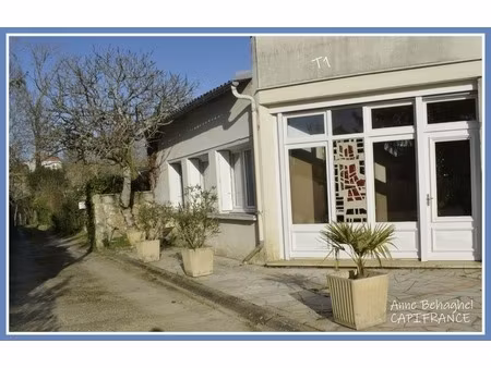 maison à vendre 7 pièces- 2 logements et 2 garages condom (32)