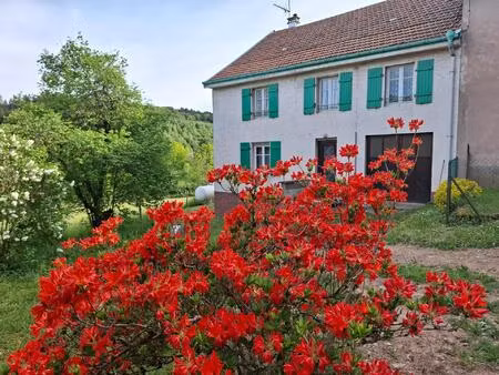 maison mitoyenne au cœur des montagnes