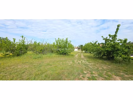 vente terrain 800 m² à cavillargues (30330)  109 000 €