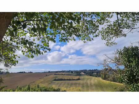 vente terrain 1000 m² à toulouse (31000)  210 000 €