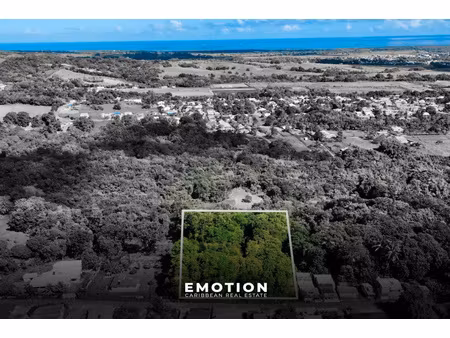 terrain plat route sainte-rose 5 753 m2 exclusivité