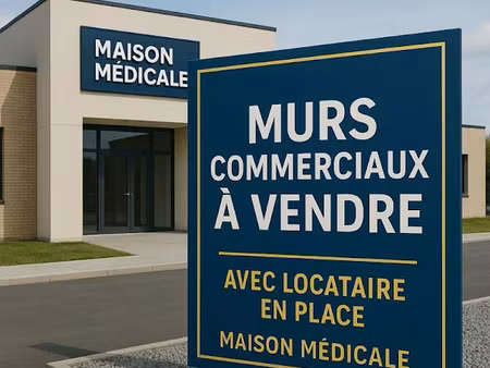 vente locaux professionnels 600 m² à verneuil-sur-vienne (87430)  995 000 €