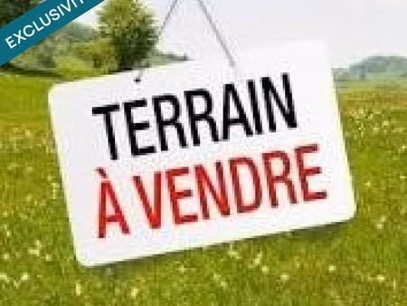 terrain viabilise et borne - st loubes
