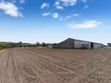 opportunité d’investissement rare – plus de 2 hectares de terrain