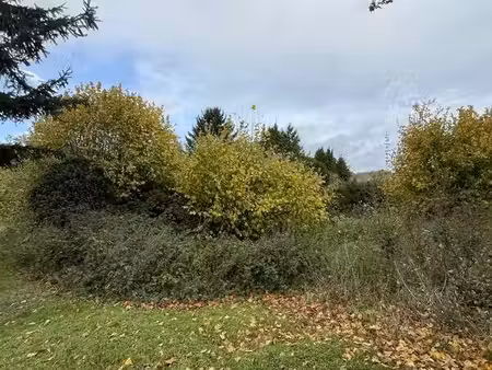 terrain constructible 2969m2 ully saint georges