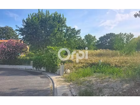 terrain canohès m² t- à vendre  208 000 €
