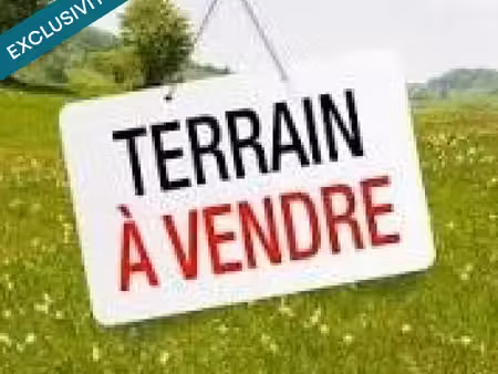terrain viabilise et borne - st loubes