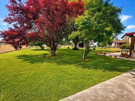 terrain à bâtir non viabilisé - 893 m²