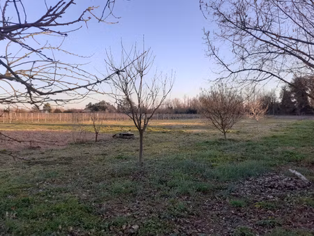 terrain saint pey de castets 1450 m2
