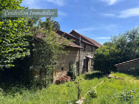 maison en pierre avec grange  2 chambres sur 300m2
