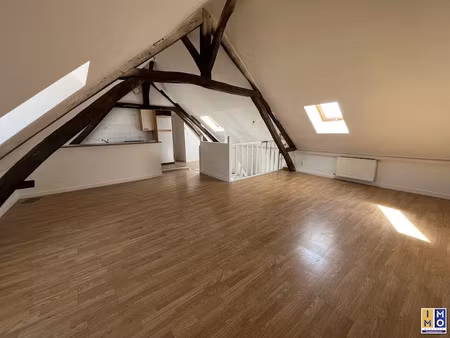 location appartement 3 pièces 53.1 m² à vierzon (18100)  395 €