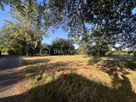 terrain de 945 m² à terce