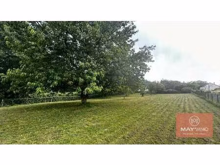 vente terrain à montjean (53320) : à vendre / montjean