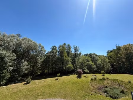 duplex d’exception aux portes de la suisse – terrasse  jardin  vue forêt – hagenthal-le-ba