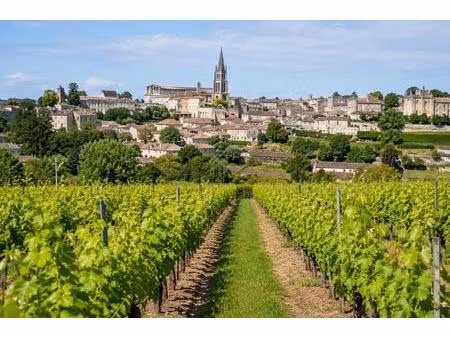 parcelles de vignes à saint emilion en bio dont le cépage ce compose de 70 % de merlots et