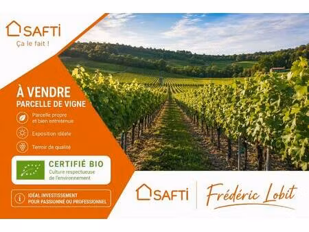 parcelles de vignes à saint emilion en bio dont le cépage ce compose de 70 % de merlots et