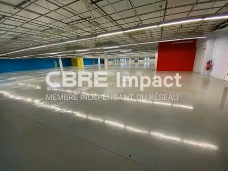 location local d’activités genlis 21110 11330m²