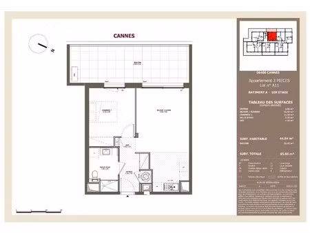 appartement avec terrasse et piscine  à deux pas de la rue d'antibes