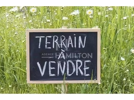 terrain constructible